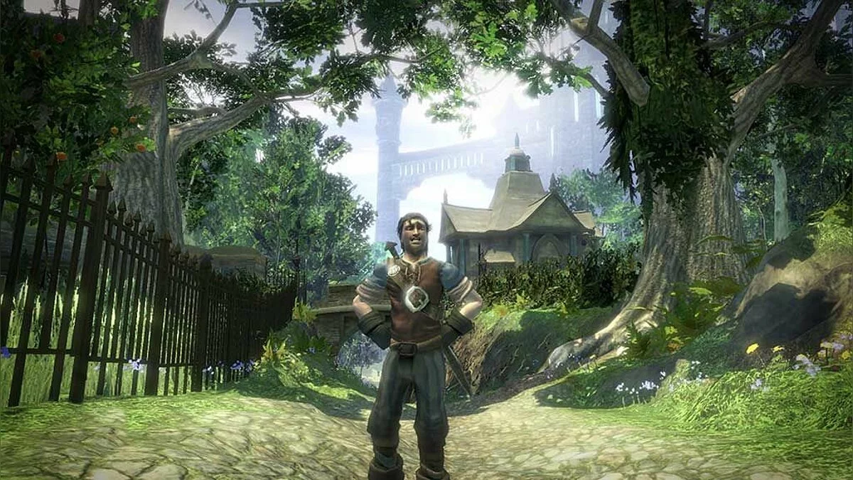 Скриншоты из Fable 2 / Картинка 65