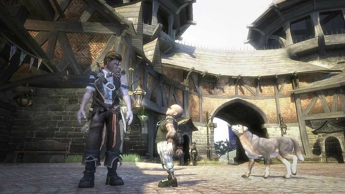 Скриншоты из Fable 2 / Картинка 72