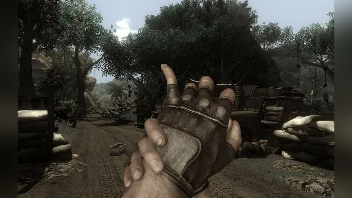 Скриншоты из Far Cry 2 / Картинка 188