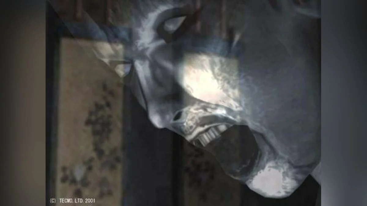 Скриншоты из Fatal Frame / Картинка 10