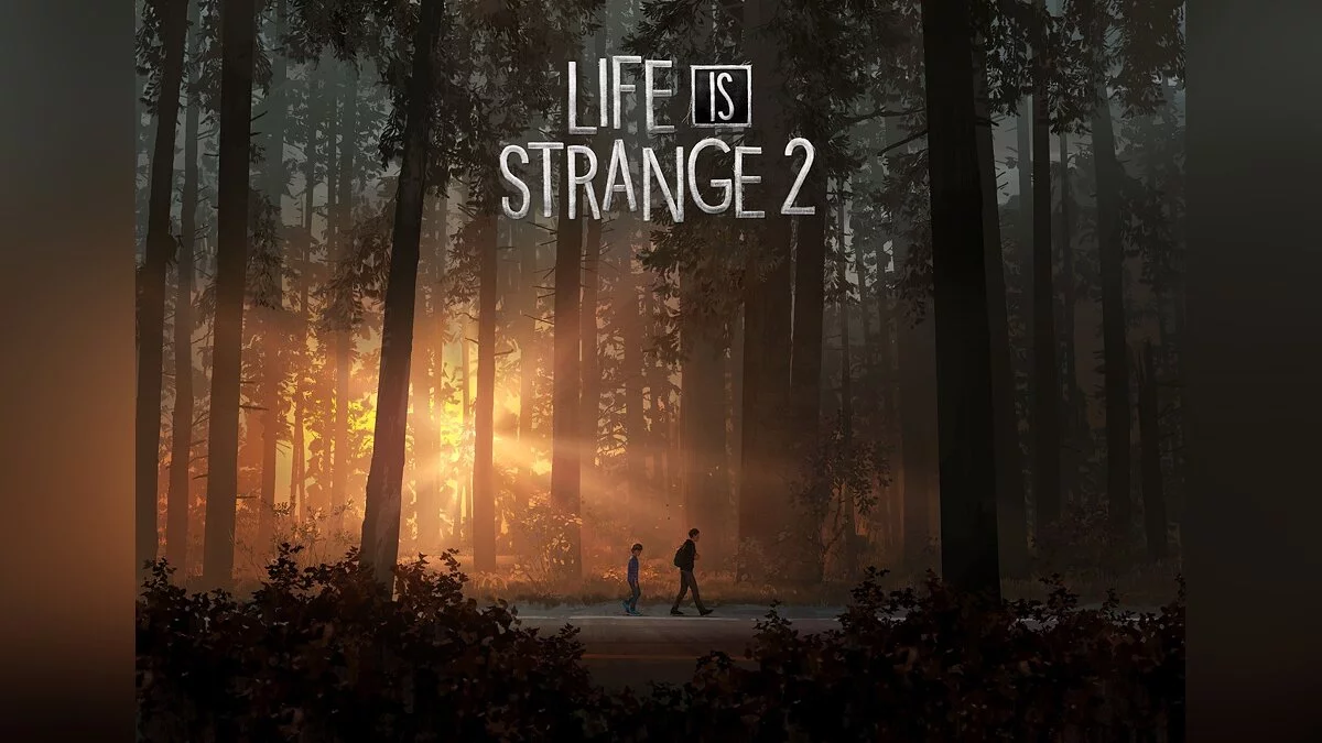 Арт из Life is Strange 2 / Картинка 5