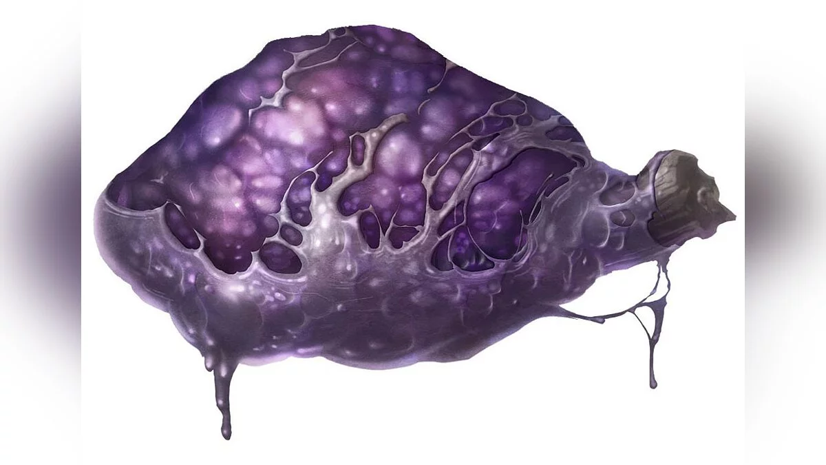 Арт из Pandora's Tower / Картинка 41