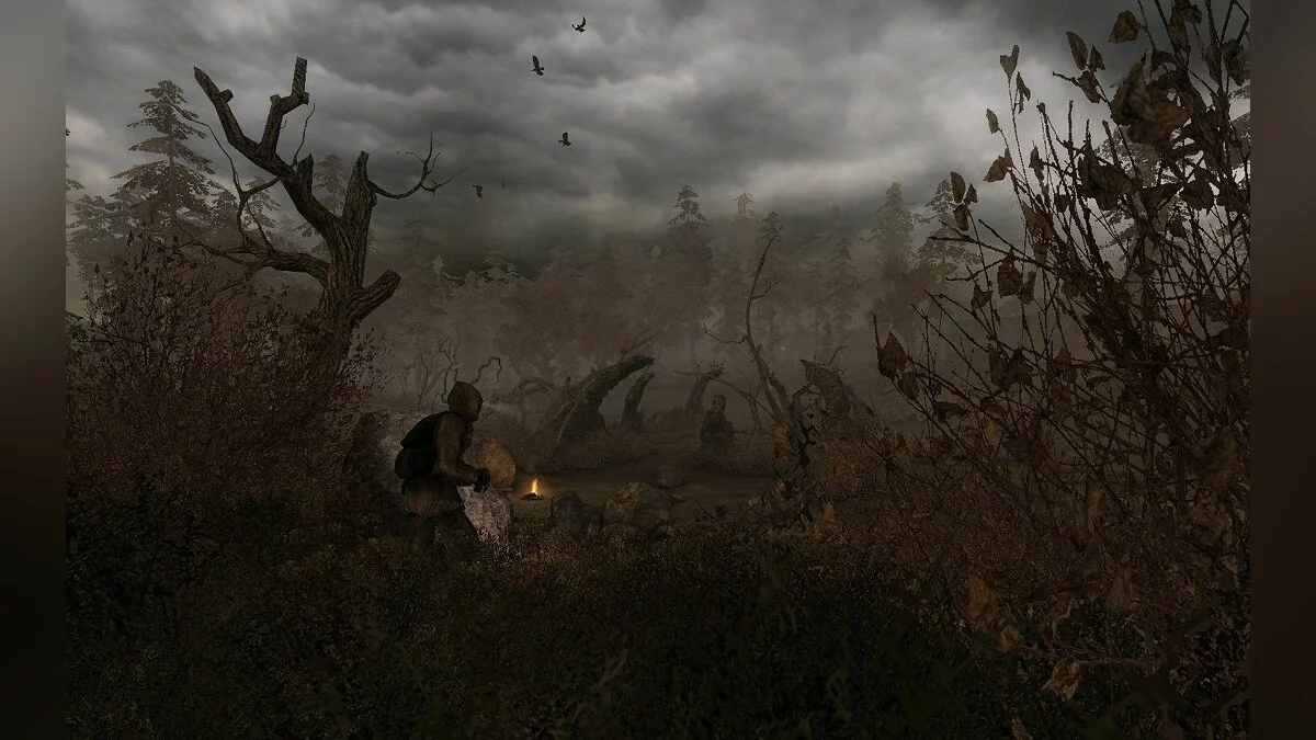 Скриншоты из S.T.A.L.K.E.R.: Clear Sky / Картинка 35