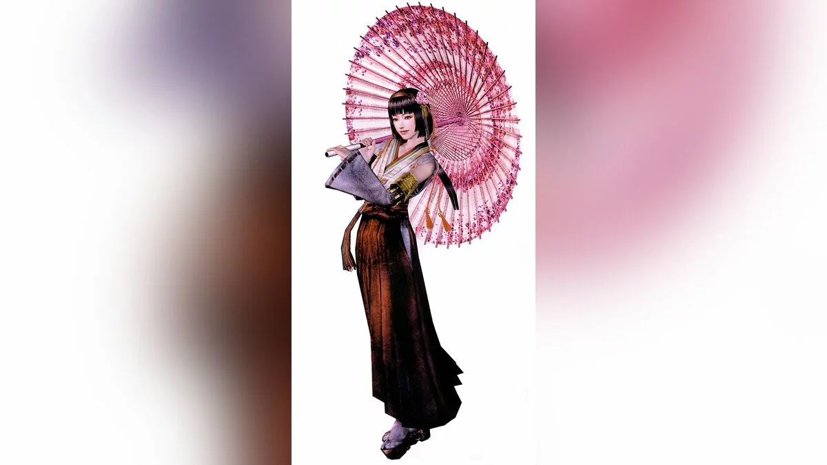 Арт из Samurai Warriors / Картинка 12