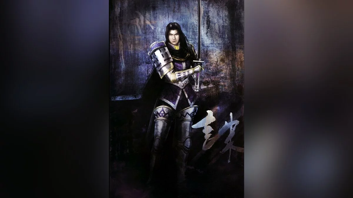 Арт из Samurai Warriors / Картинка 20