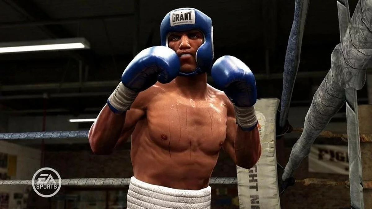 Скриншоты из Fight Night Round 4 / Картинка 50