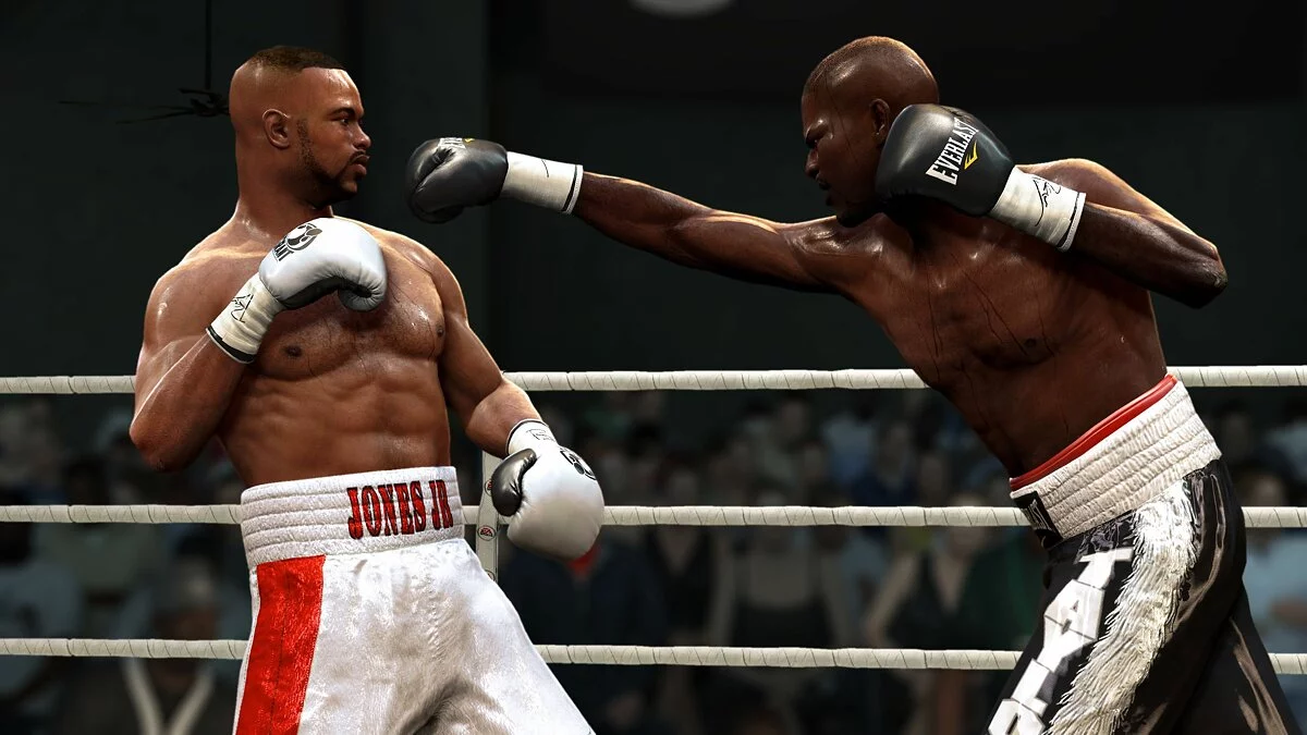 Скриншоты из Fight Night Round 4 / Картинка 44