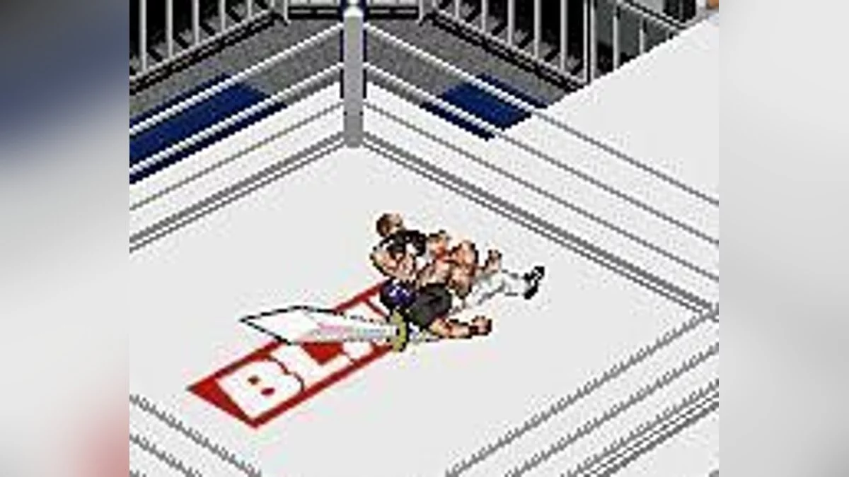 Скриншоты из Fire Pro Wrestling 2 / Картинка 6