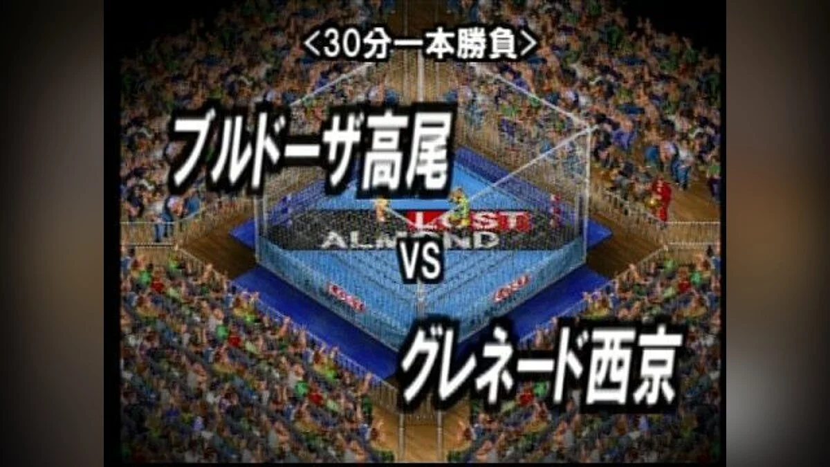 Скриншоты из Fire Pro Wrestling Returns / Картинка 3