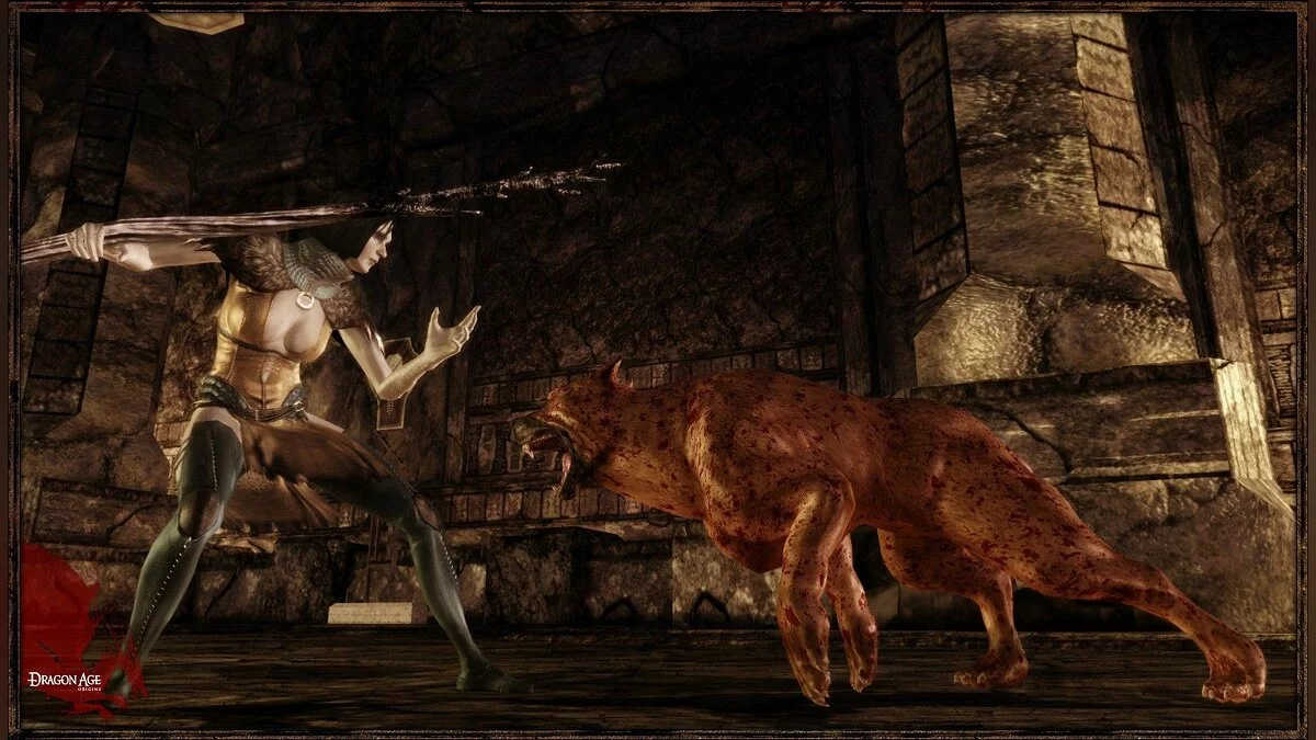 Скриншоты из Dragon Age: Origins / Картинка 61