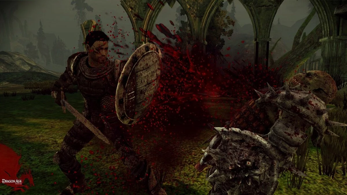 Скриншоты из Dragon Age: Origins / Картинка 60