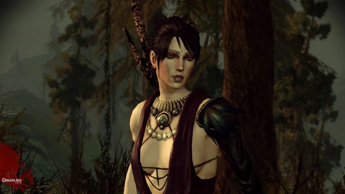 Скриншоты из Dragon Age: Origins / Картинка 64