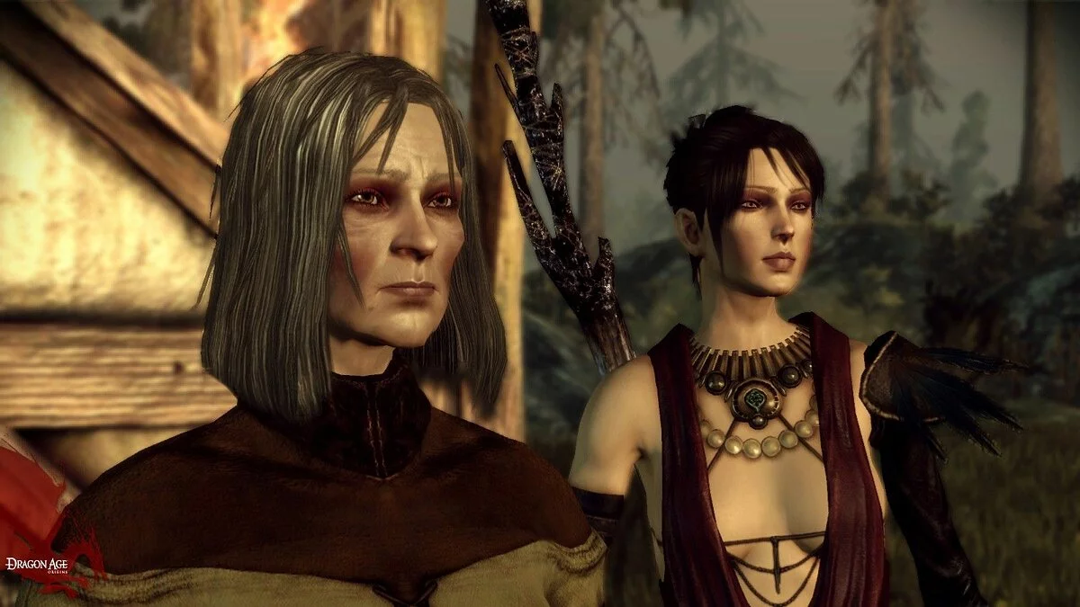 Скриншоты из Dragon Age: Origins / Картинка 69