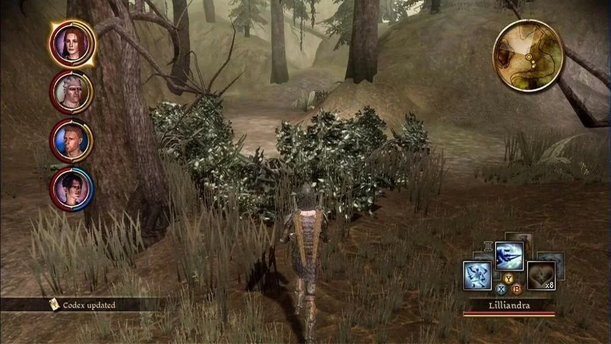 Скриншоты из Dragon Age: Origins / Картинка 169