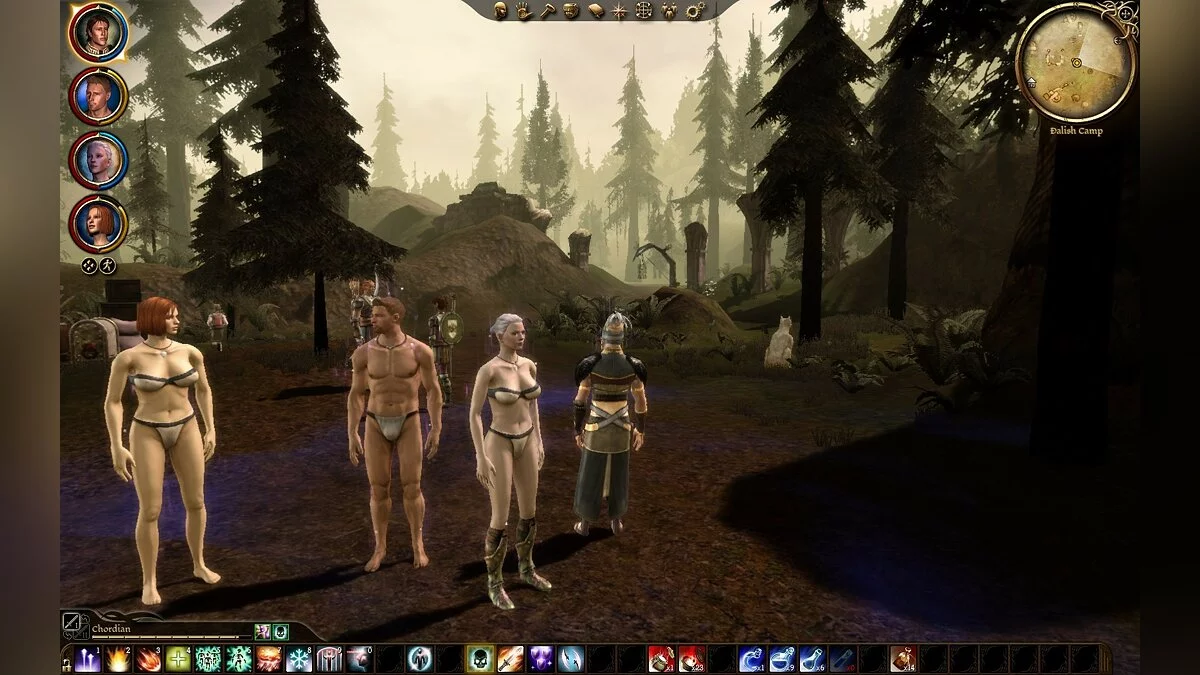 Скриншоты из Dragon Age: Origins / Картинка 371