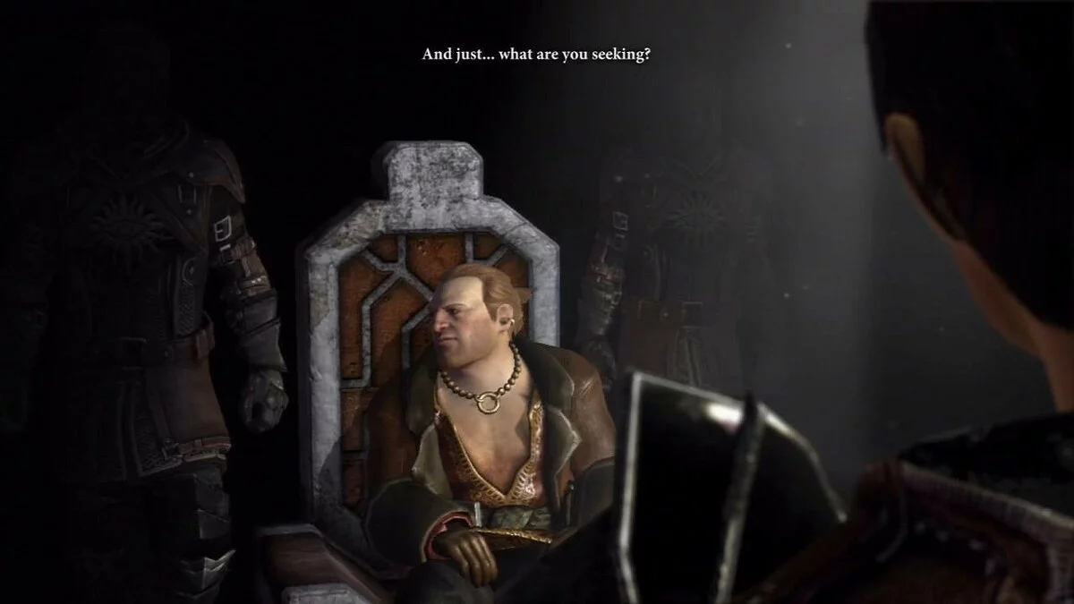Скриншоты из Dragon Age 2 / Картинка 95