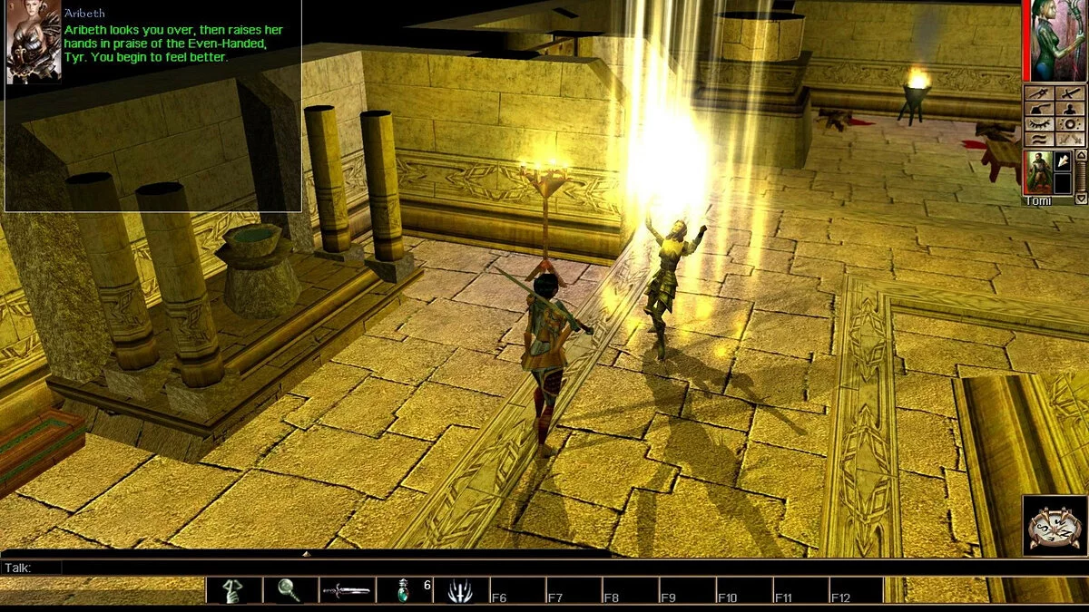 Скриншоты из Neverwinter Nights: Enhanced Edition / Картинка 10
