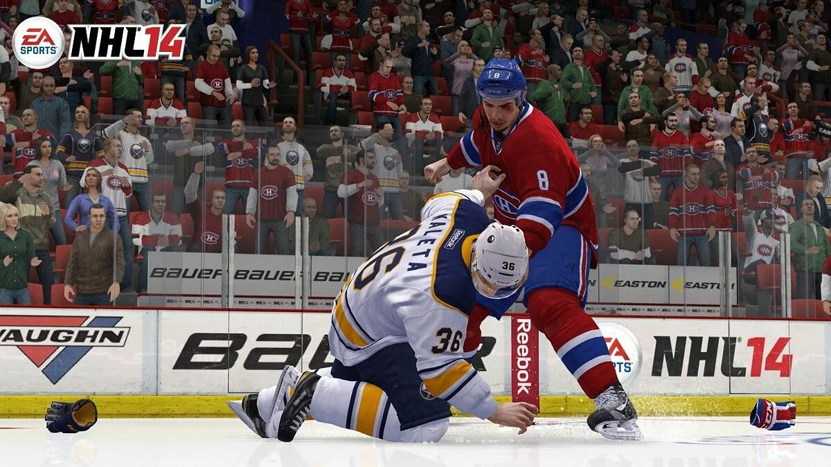 Скриншоты из NHL 14 / Картинка 11