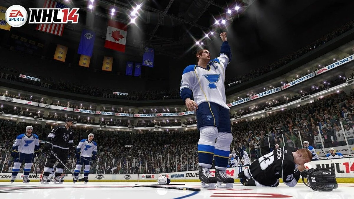 Скриншоты из NHL 14 / Картинка 14