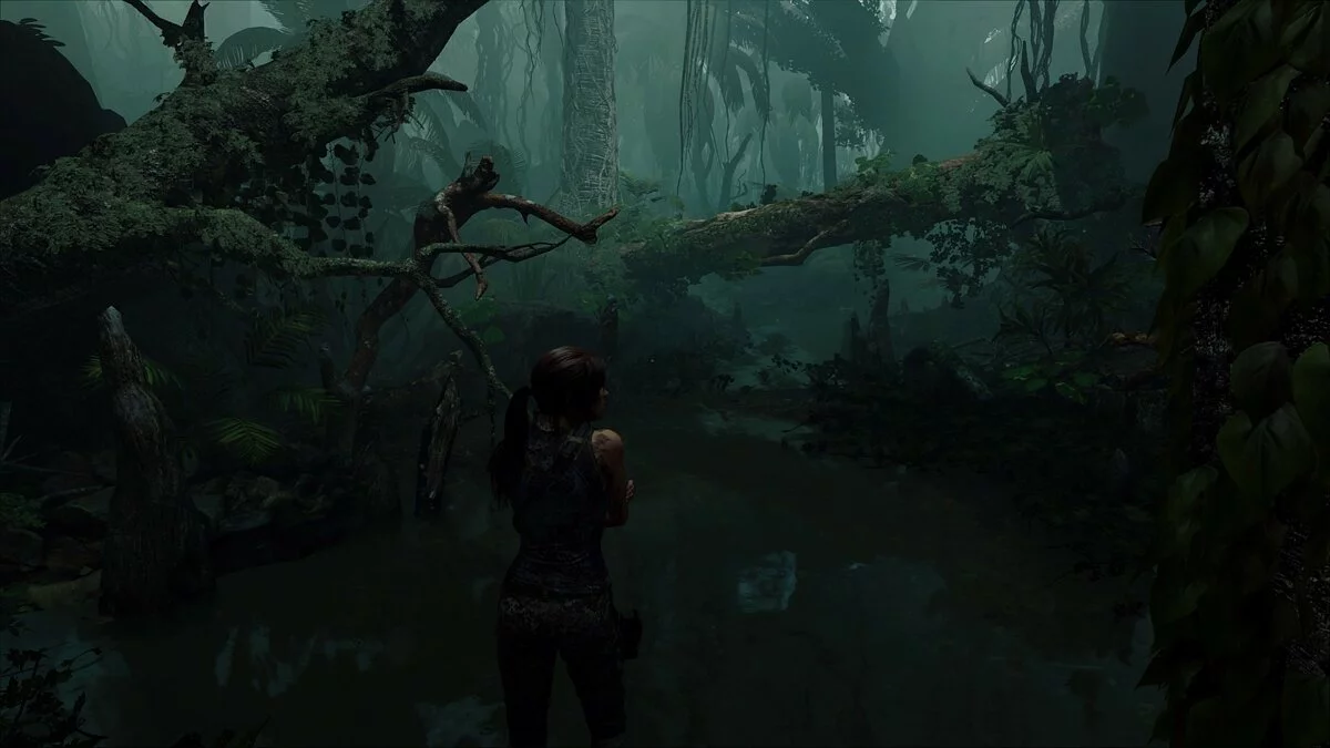 Скриншоты из Shadow of the Tomb Raider / Картинка 167