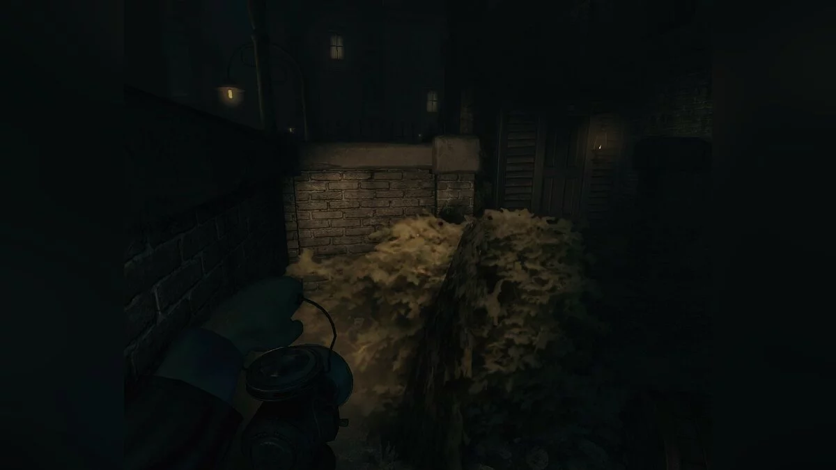 Скриншоты из Amnesia: A Machine for Pigs / Картинка 53