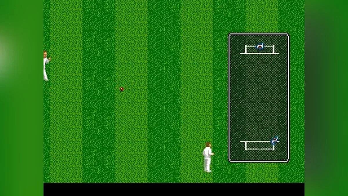 Скриншоты из Allan Border's Cricket / Картинка 54