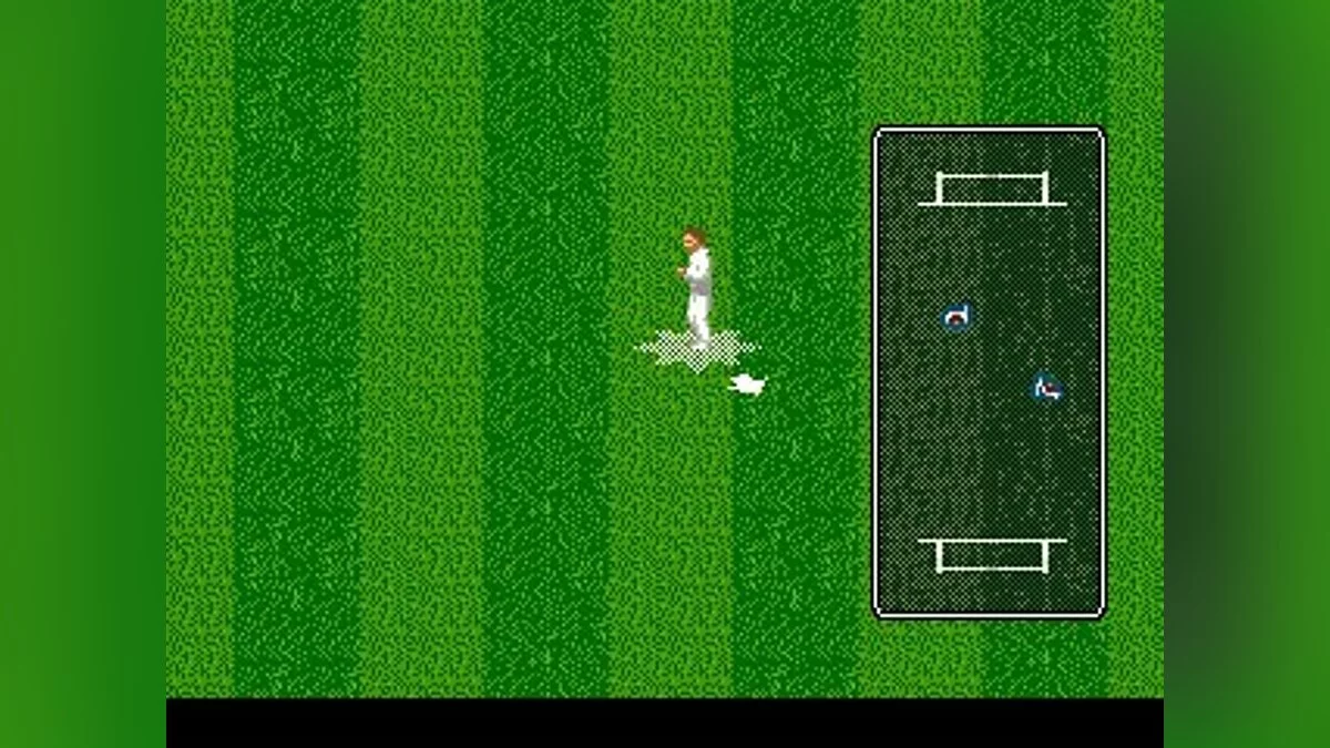 Скриншоты из Allan Border's Cricket / Картинка 59