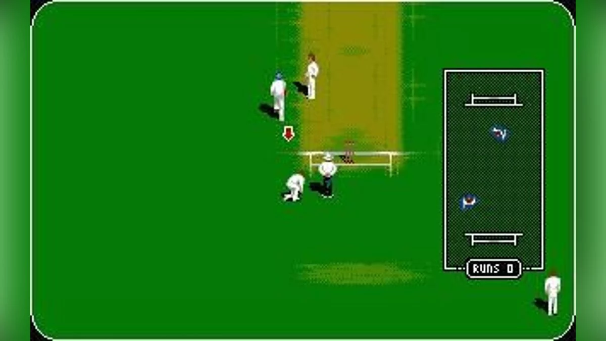 Скриншоты из Allan Border's Cricket / Картинка 7