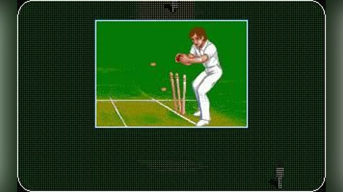 Скриншоты из Allan Border's Cricket / Картинка 8