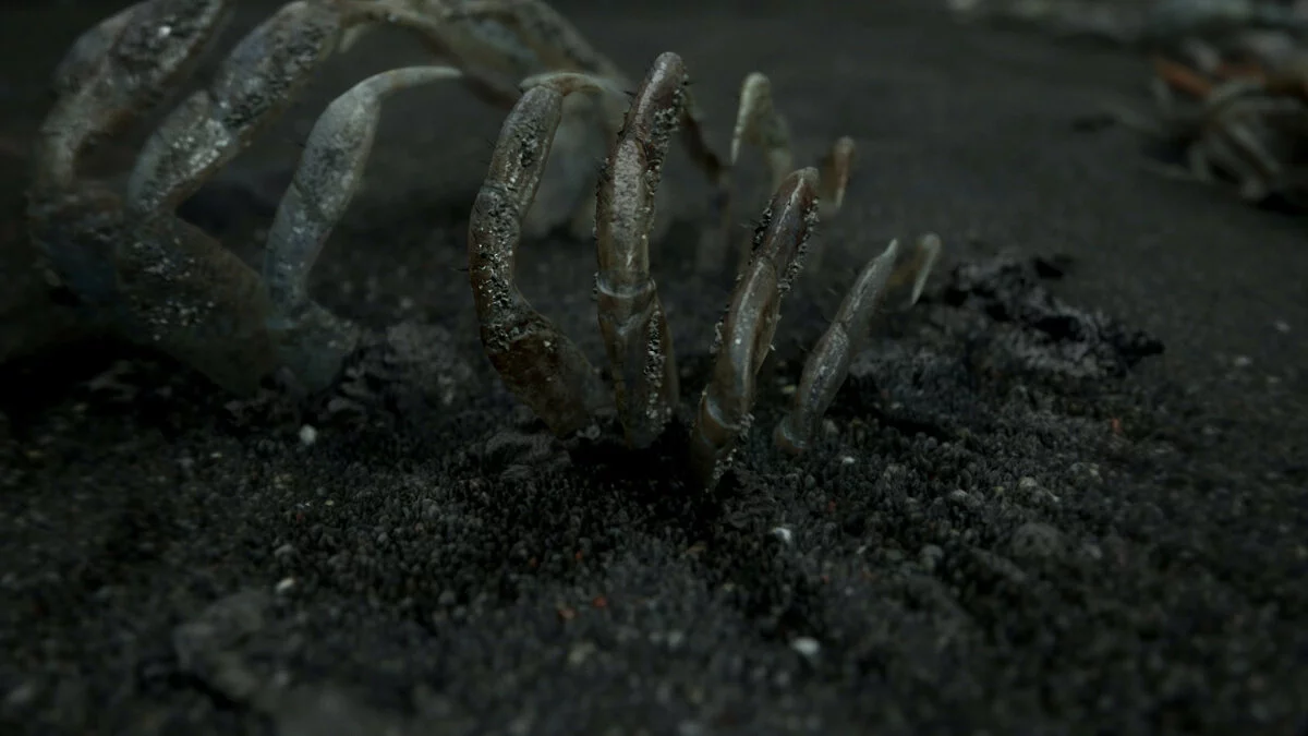 Арт из Death Stranding / Картинка 7