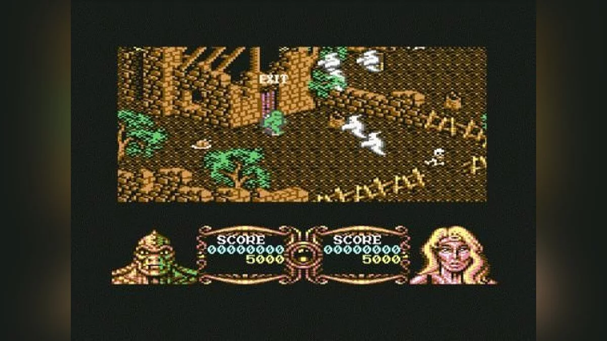 Скриншоты из Gauntlet 3: The Final Quest / Картинка 16