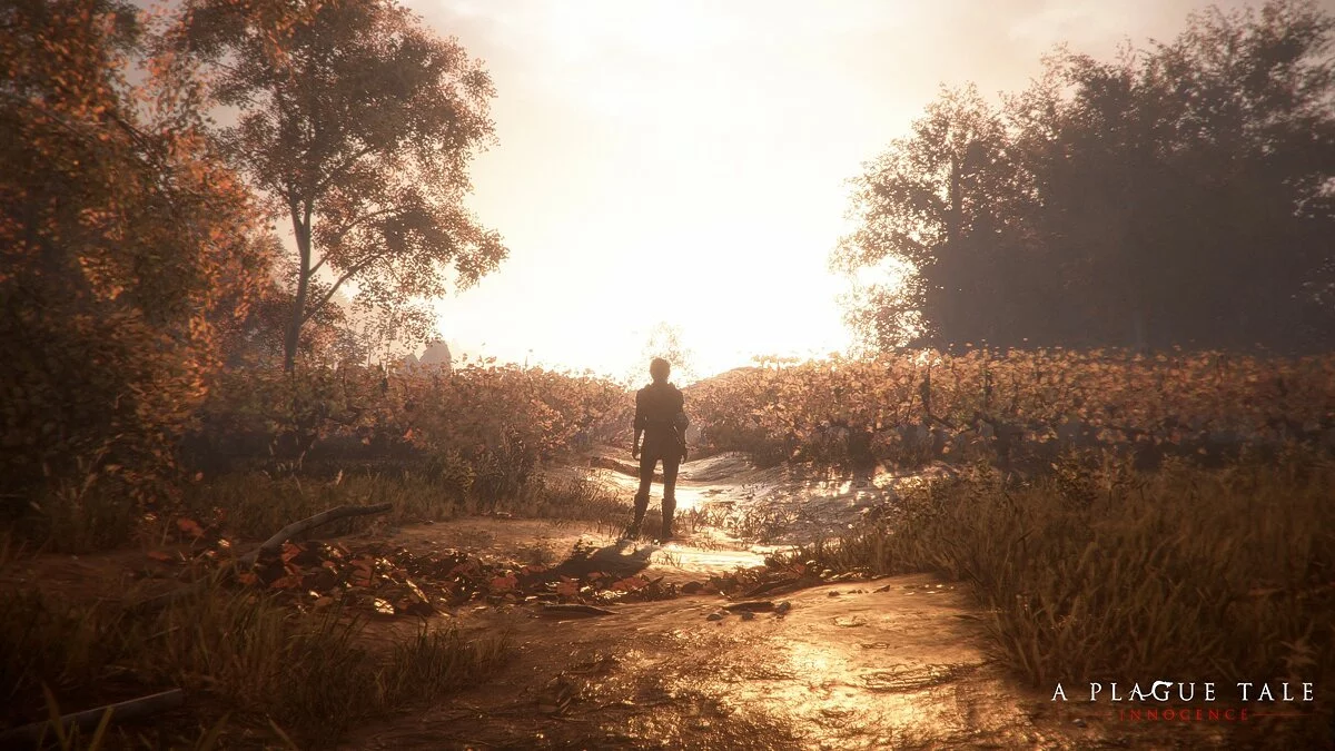 Скриншоты из A Plague Tale: Innocence / Картинка 20