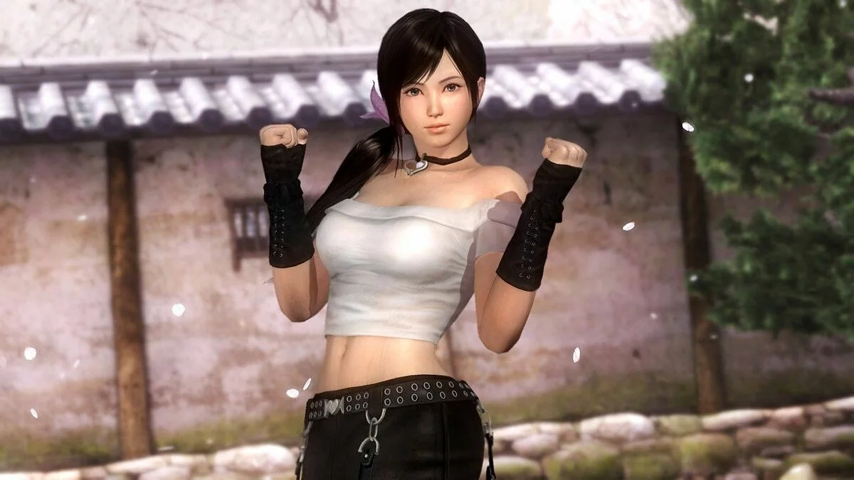 Скриншоты из Dead or Alive 5 Ultimate / Картинка 74