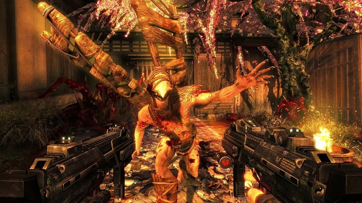 Скриншоты из Shadow Warrior / Картинка 18