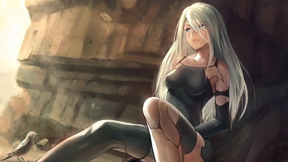 Девушки из NieR / Картинка 54