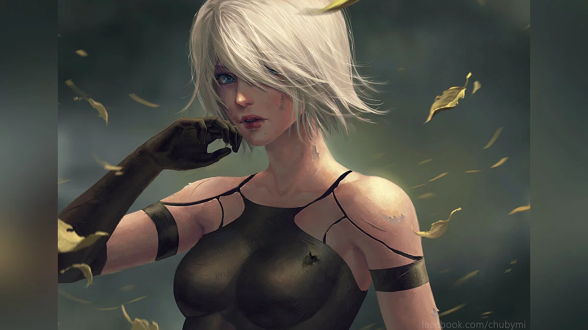 Девушки из NieR / Картинка 33