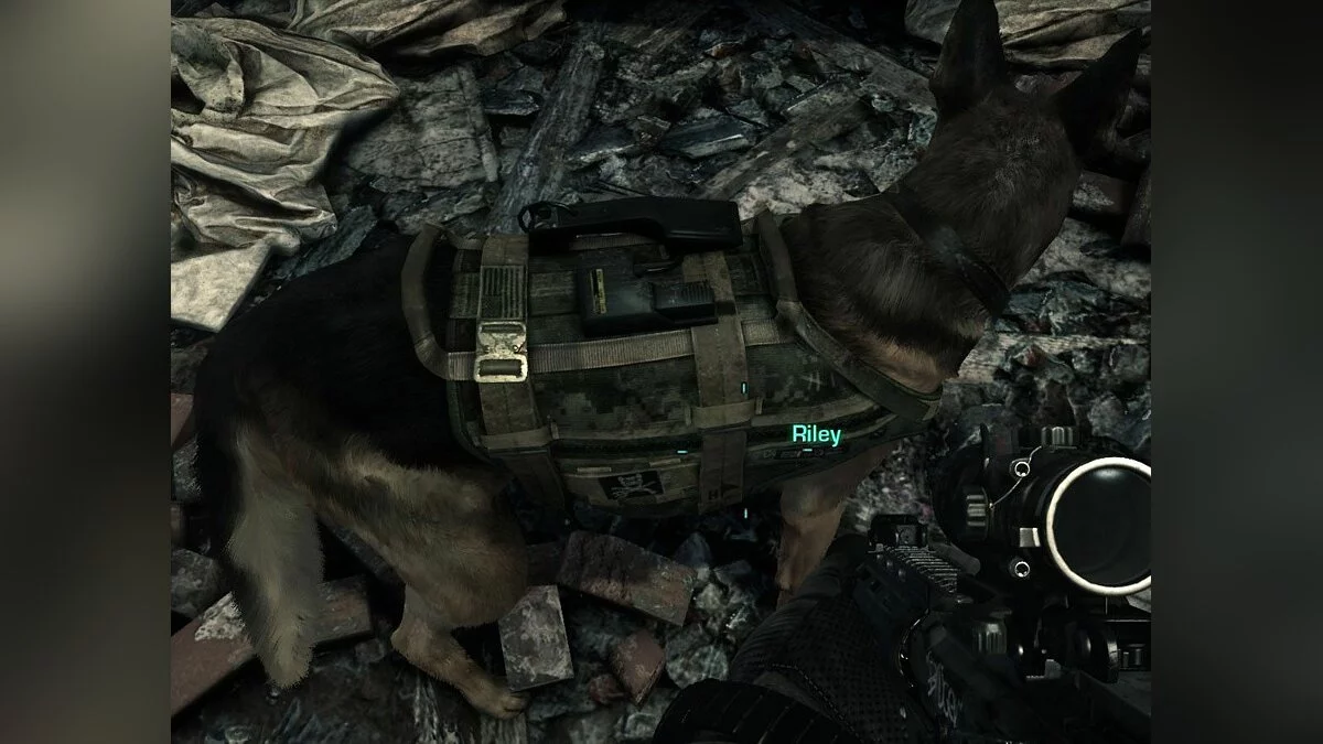 Скриншоты из Call of Duty: Ghosts - Devastation / Картинка 94