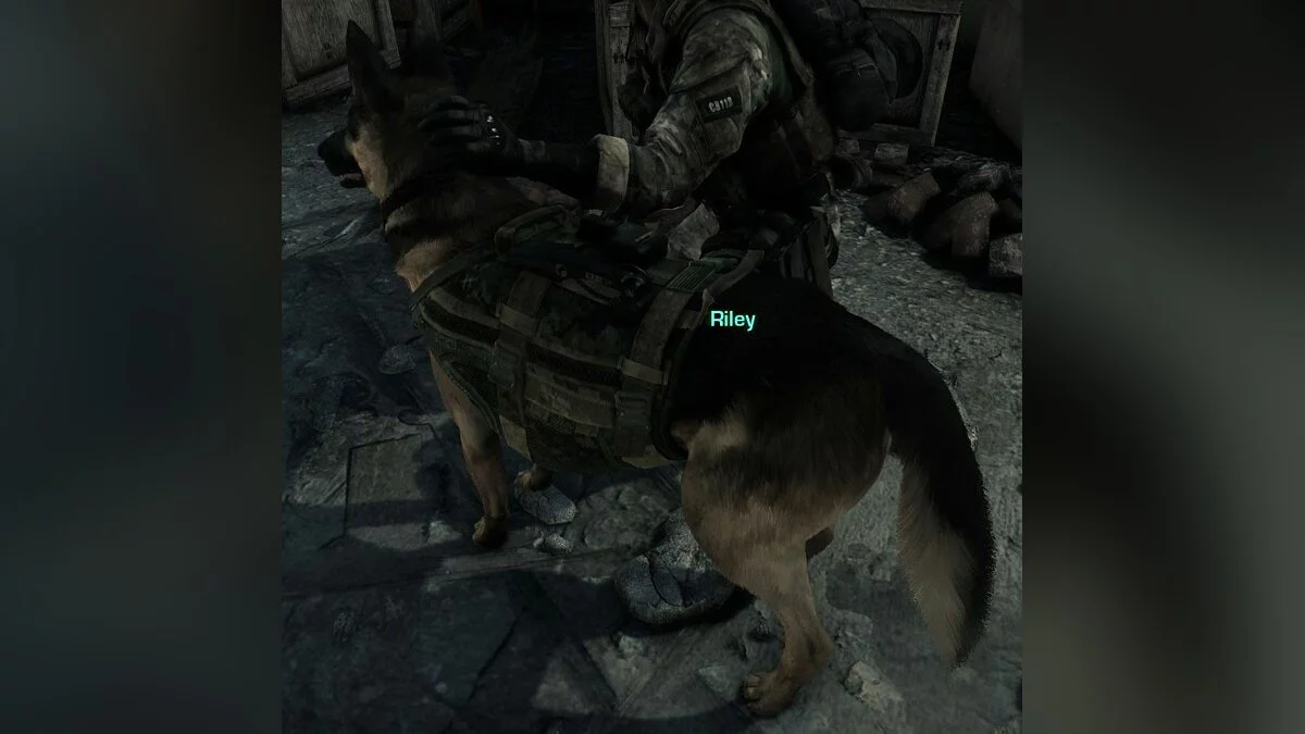 Скриншоты из Call of Duty: Ghosts - Devastation / Картинка 95