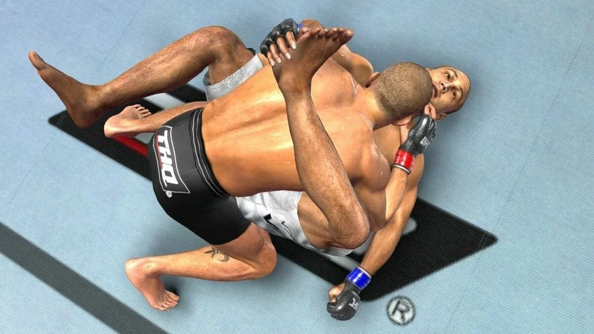 Скриншоты из UFC 2009 Undisputed / Картинка 18