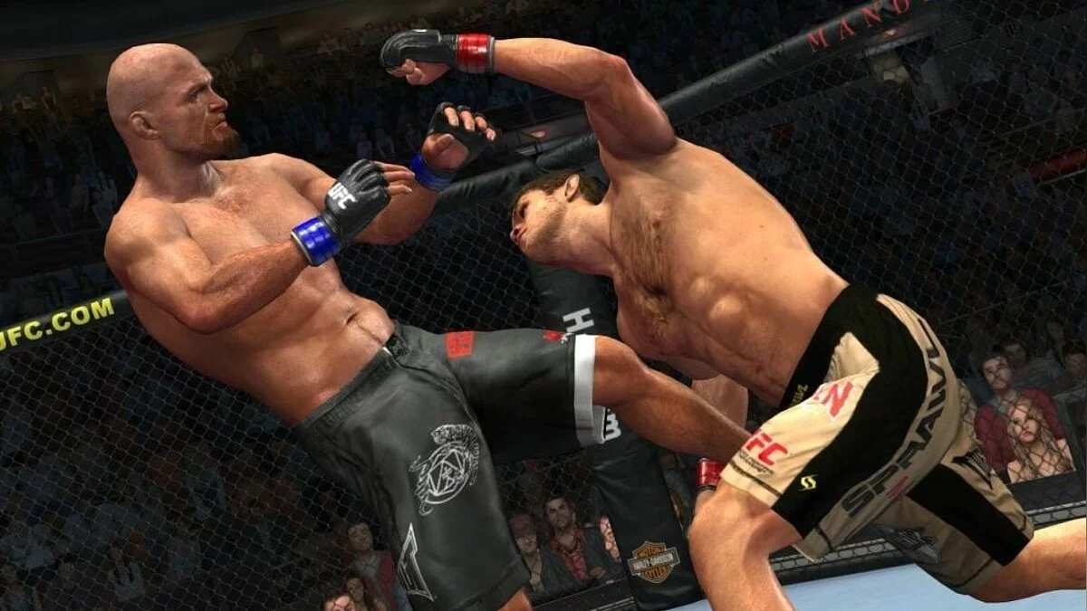 Скриншоты из UFC 2009 Undisputed / Картинка 20
