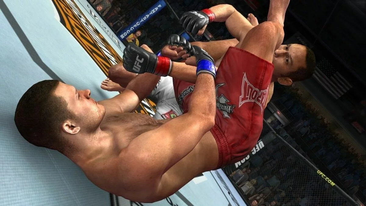 Скриншоты из UFC 2009 Undisputed / Картинка 13
