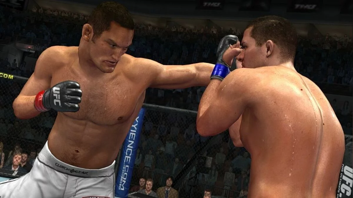 Скриншоты из UFC 2009 Undisputed / Картинка 14