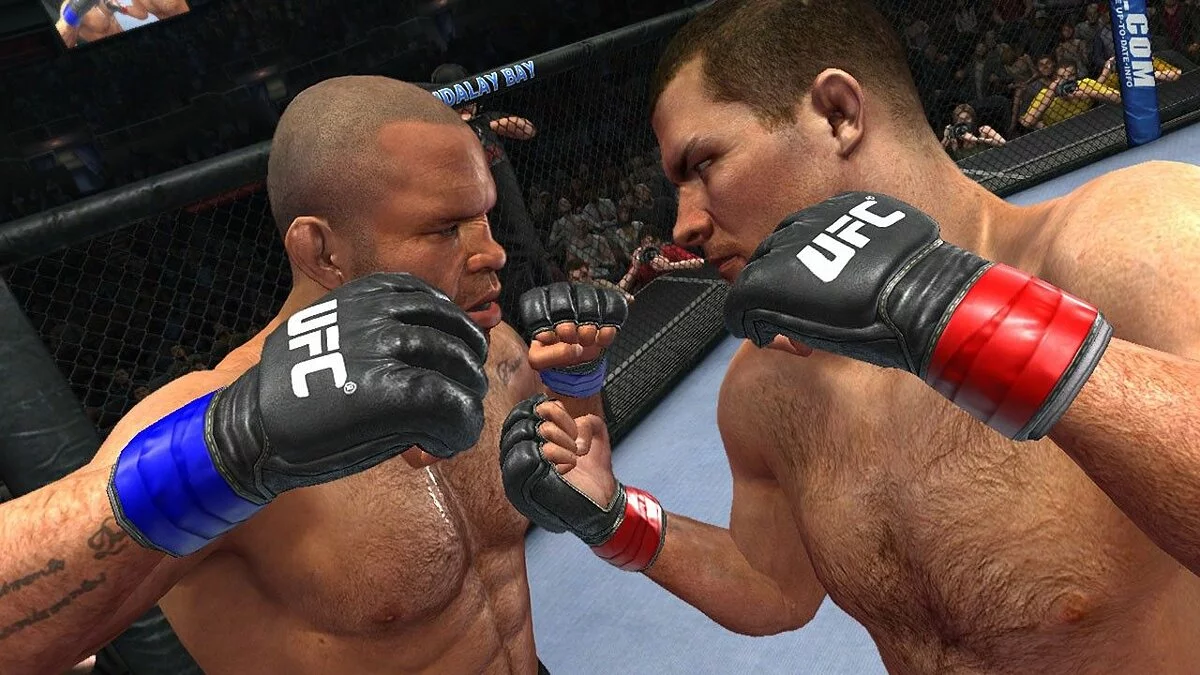 Скриншоты из UFC Undisputed 2010 / Картинка 1