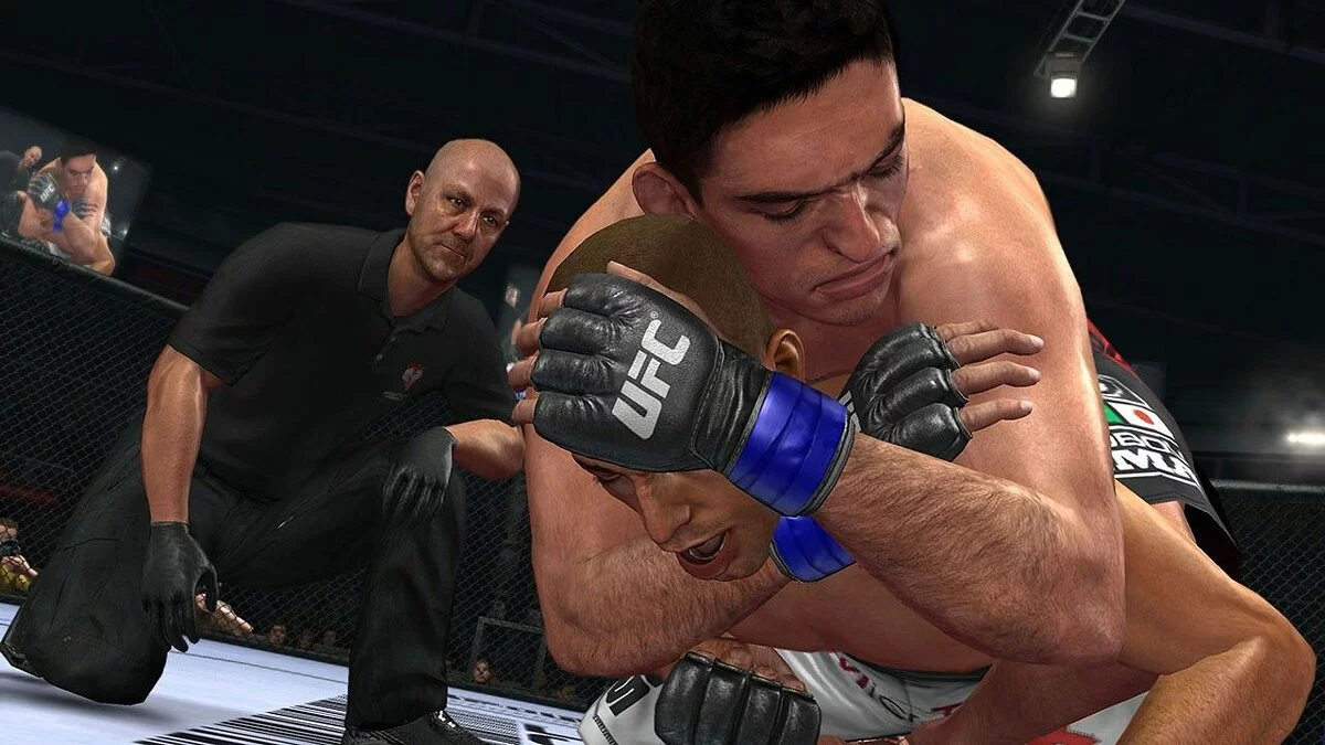 Скриншоты из UFC Undisputed 2010 / Картинка 12
