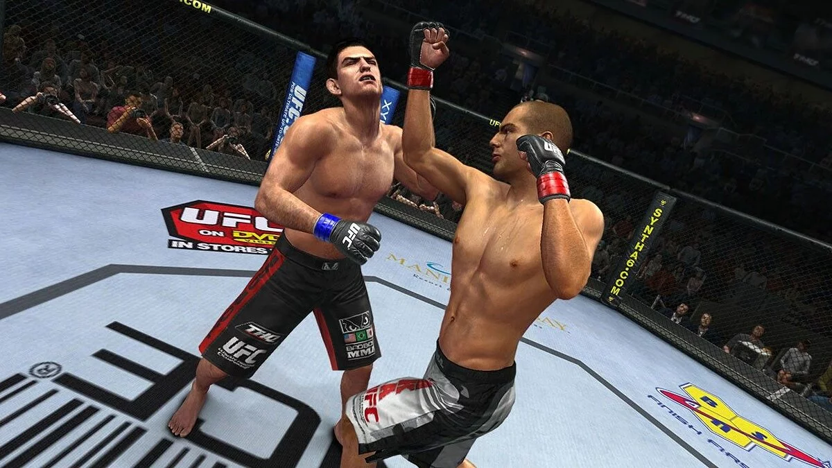Скриншоты из UFC Undisputed 2010 / Картинка 3