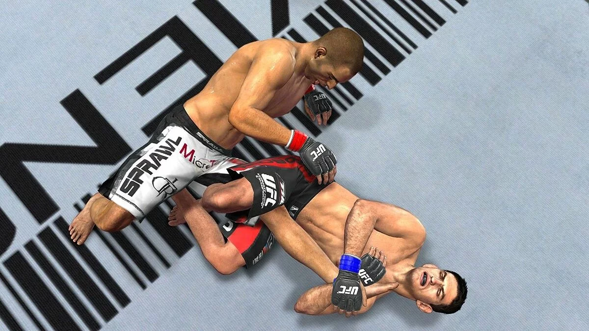 Скриншоты из UFC Undisputed 2010 / Картинка 14