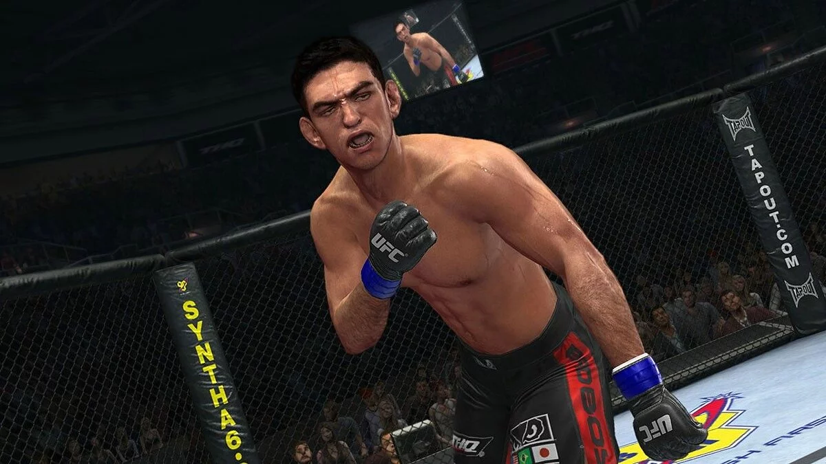 Скриншоты из UFC Undisputed 2010 / Картинка 11