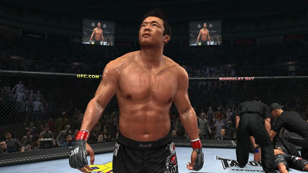 Скриншоты из UFC Undisputed 2010 / Картинка 5