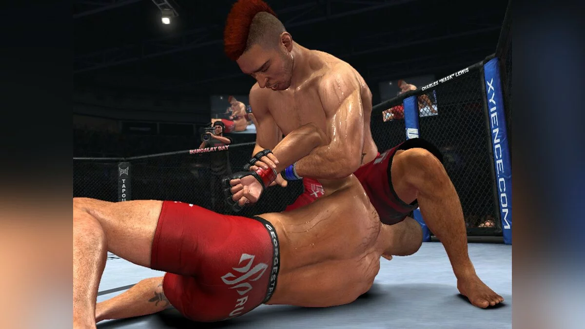 Скриншоты из UFC Undisputed 2010 / Картинка 18