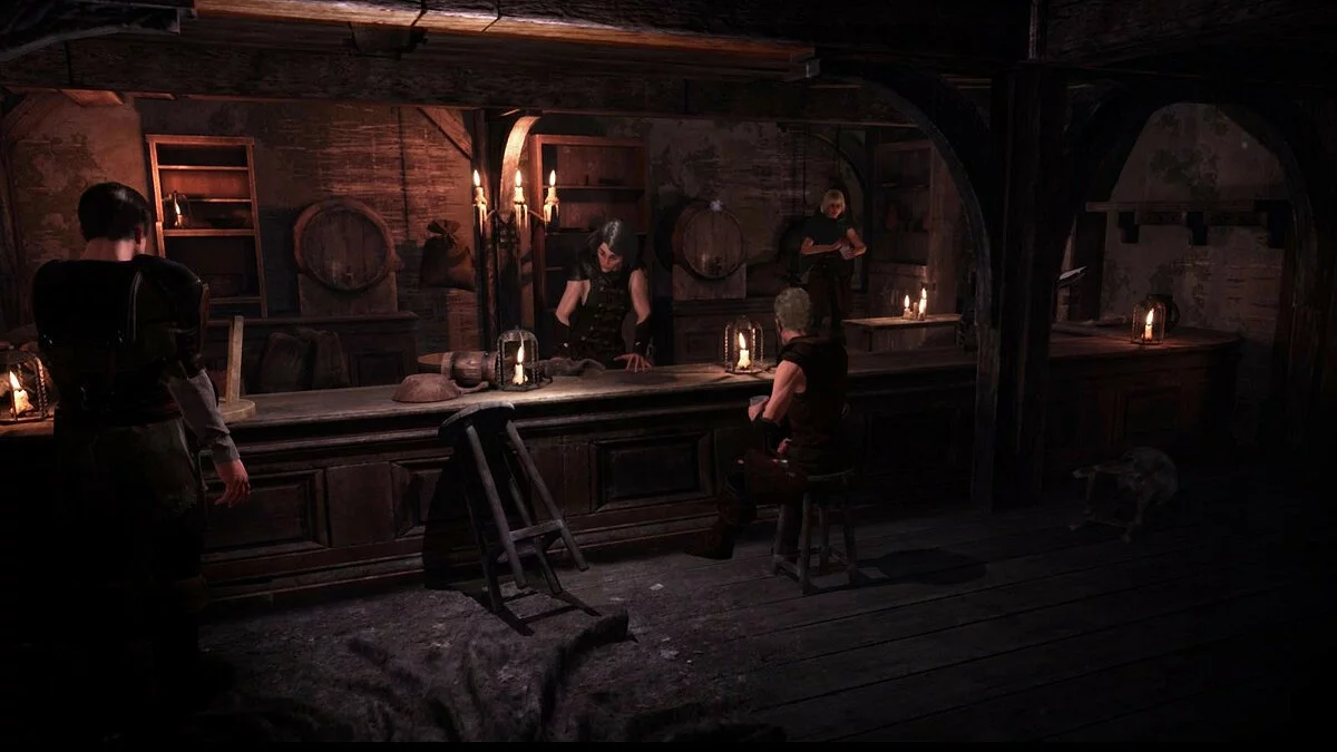 Скриншоты из The Bard's Tale 4: Barrows Deep / Картинка 11